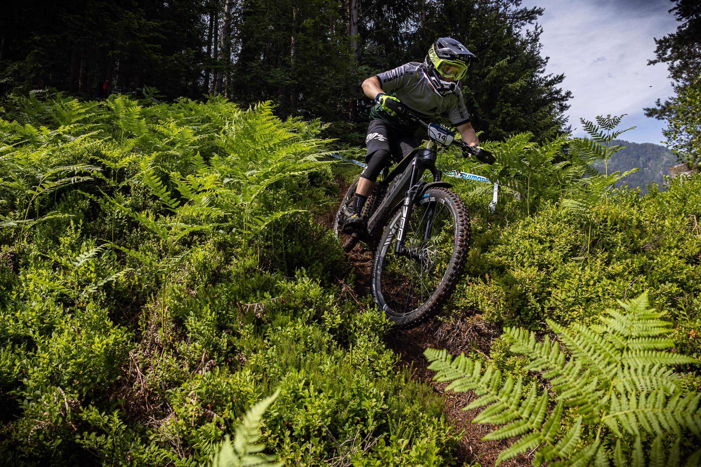 e-bike_emtb_fully_bulls_evo-am-team-carbon-750_texi_2022